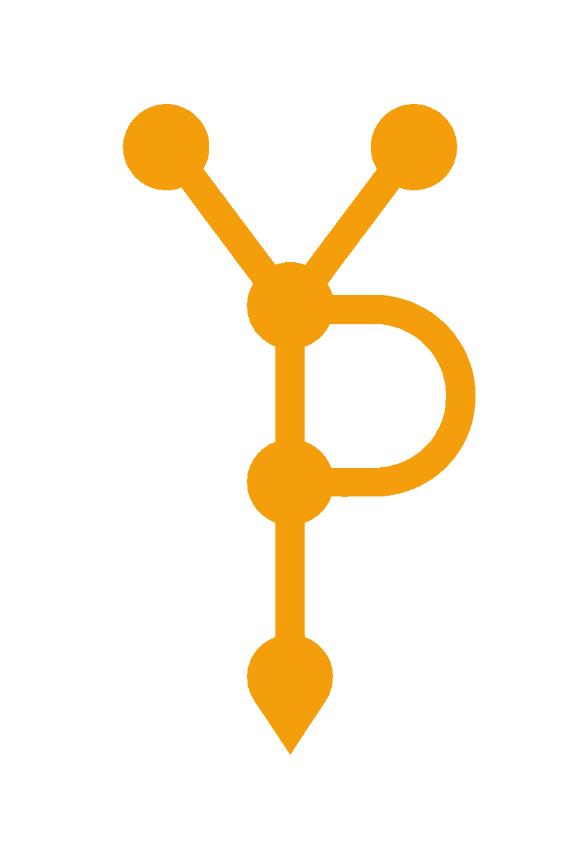YP